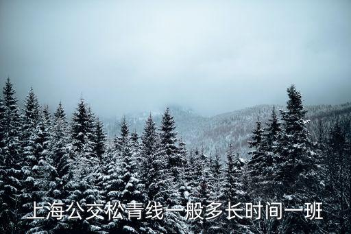 上海公交松青線一般多長時間一班