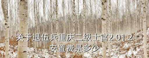 關于退伍兵重慶二級士官2 01 2安置費是多少