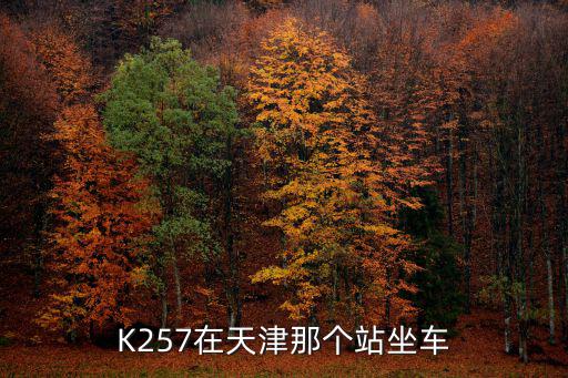 K257在天津那個站坐車