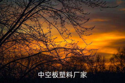 中空板塑料廠家
