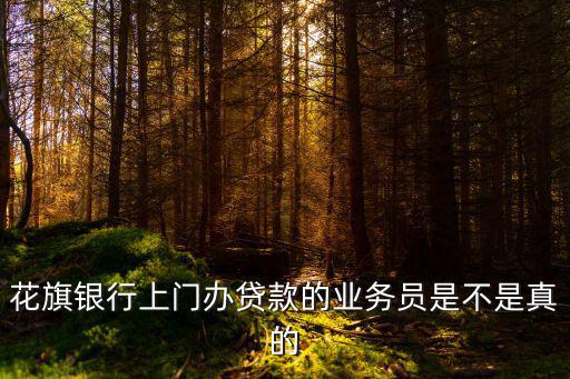 花旗銀行上門辦貸款的業(yè)務(wù)員是不是真的