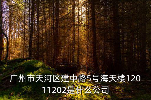 廣州市天河區(qū)建中路5號海天樓12011202是什么公司