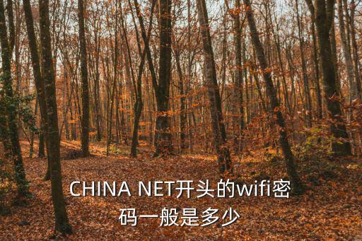 CHINA NET開(kāi)頭的wifi密碼一般是多少