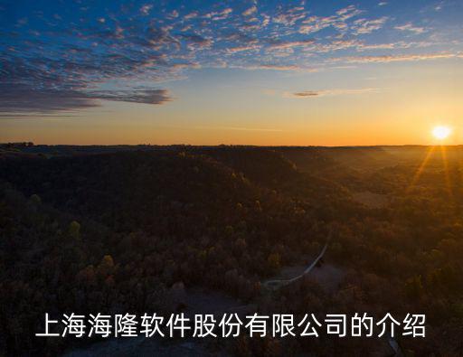 上海海隆軟件股份有限公司的介紹
