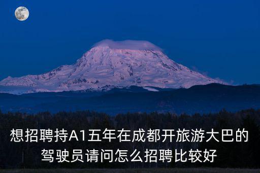 成都市旅游招聘A1駕駛員，想招聘持A1五年在成都開旅游大巴的駕駛員請問怎么招聘比較好