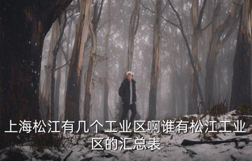 上海松江有幾個工業(yè)區(qū)啊誰有松江工業(yè)區(qū)的匯總表