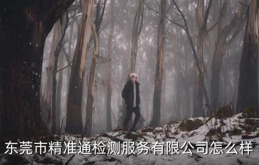 東莞市精準通檢測服務有限公司怎么樣