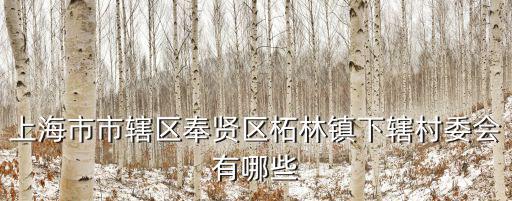 上海市市轄區奉賢區柘林鎮下轄村委會有哪些