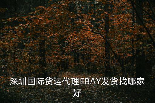 深圳國(guó)際貨運(yùn)代理EBAY發(fā)貨找哪家好