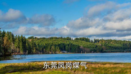 東莞2016年五月居民煤氣火災，東莞鳳崗煤氣