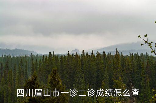 四川眉山市一診二診成績怎么查