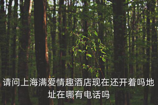 請問上海滿愛情趣酒店現在還開著嗎地址在哪有電話嗎