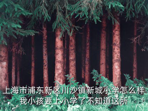 上海市川沙小學校哪個好，上海 浦東川沙實驗小學好嗎 可以進去嗎