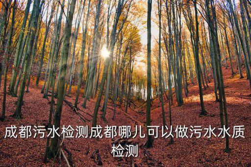 成都污水檢測成都哪兒可以做污水水質檢測