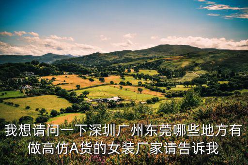 我想請問一下深圳廣州東莞哪些地方有做高仿A貨的女裝廠家請告訴我