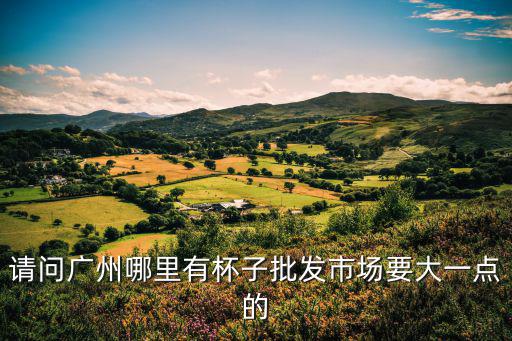 請問廣州哪里有杯子批發(fā)市場要大一點的