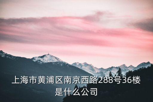 上海市黃浦區南京西路288號36樓是什么公司