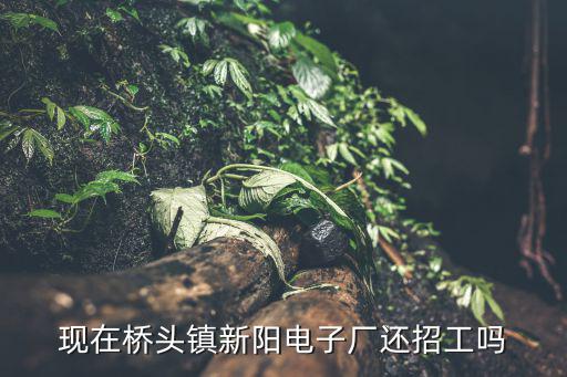 現在橋頭鎮新陽電子廠還招工嗎