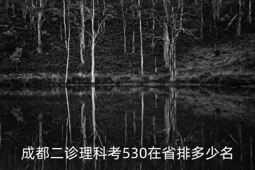 成都二診理科考530在省排多少名