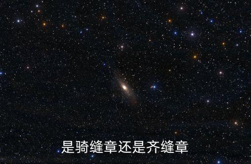 是騎縫章還是齊縫章
