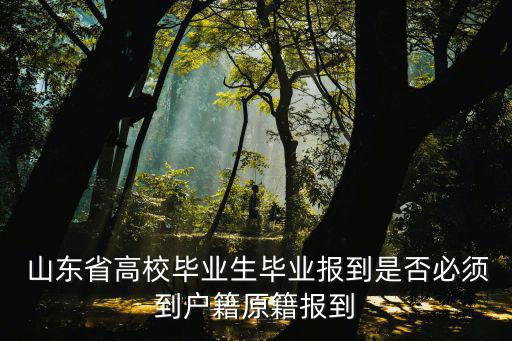  山東省高校畢業(yè)生畢業(yè)報(bào)到是否必須到戶(hù)籍原籍報(bào)到