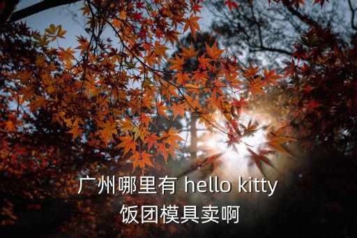 廣州哪里有 hello kitty 飯團模具賣啊