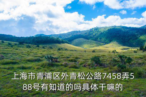 上海市青浦區(qū)外青松公路7458弄588號(hào)有知道的嗎具體干嘛的