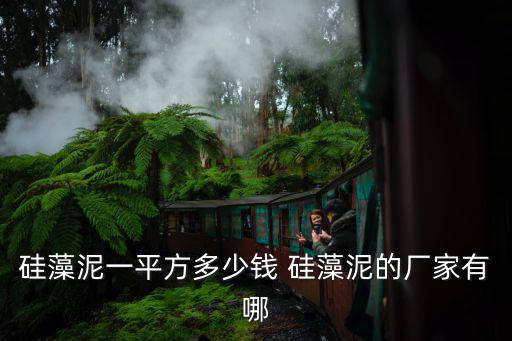 硅藻泥一平方多少錢 硅藻泥的廠家有哪
