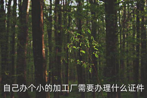 自己辦個小的加工廠需要辦理什么證件