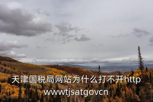 天津國稅局網站為什么打不開httpwwwtjsatgovcn