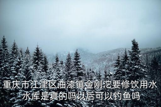 重慶市江津區(qū)油漆鎮(zhèn)金剛沱要修飲用水 水庫是真的嗎以后可以釣魚嗎