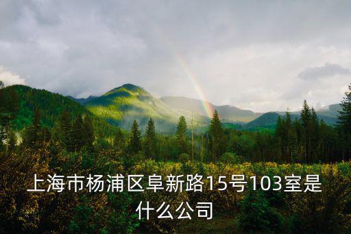 上海市楊浦區(qū)阜新路15號103室是什么公司
