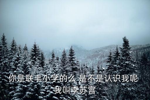 你是聯豐小學的么 是不是認識我呢 我叫李蘇宮