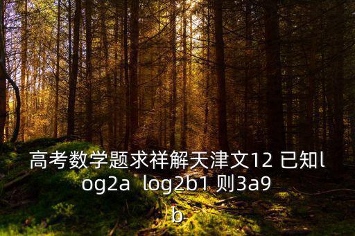 天津市濱海七校聯考文數，高考數學題求祥解天津文12 已知log2a  log2b1 則3a9b