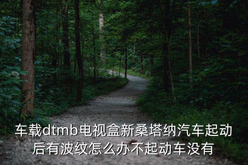 深圳dtmb車載電視盒，有沒有把dtmb車載電視盒改成飛歌導航專用的