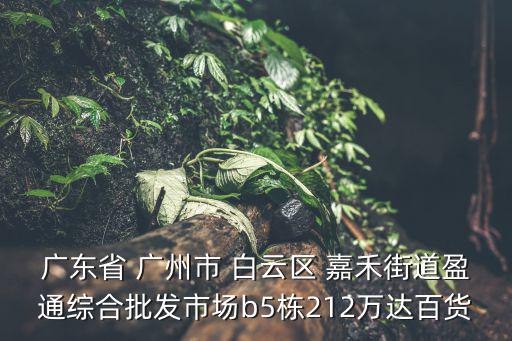 廣東省 廣州市 白云區(qū) 嘉禾街道盈通綜合批發(fā)市場(chǎng)b5棟212萬(wàn)達(dá)百貨