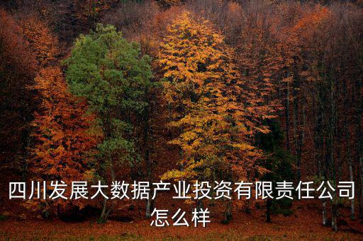 四川發展大數據產業投資有限責任公司怎么樣