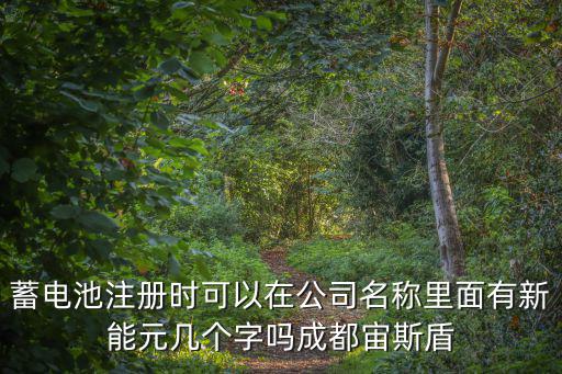 蓄電池注冊時可以在公司名稱里面有新能元幾個字嗎成都宙斯盾