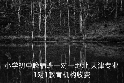 小學初中晚輔班一對一地址 天津專業1對1教育機構收費