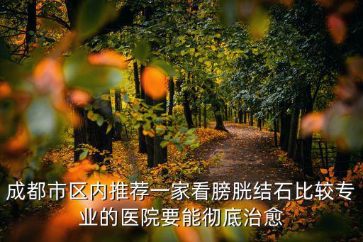 成都市區(qū)內(nèi)推薦一家看膀胱結(jié)石比較專業(yè)的醫(yī)院要能徹底治愈