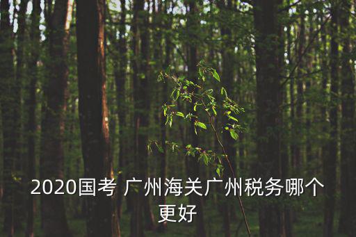 2020國考 廣州海關廣州稅務哪個更好
