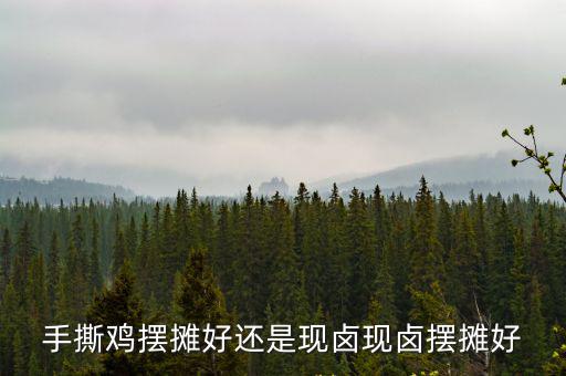 手撕雞擺攤好還是現(xiàn)鹵現(xiàn)鹵擺攤好