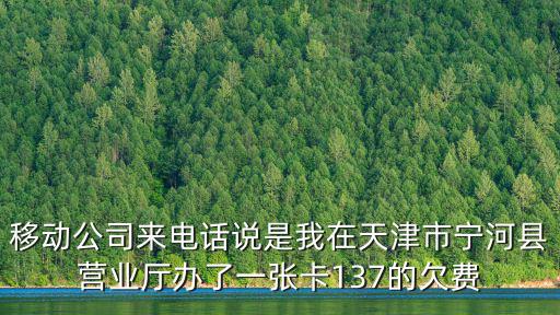 天津市寧河區(qū)嗩吶獨奏放驢，天津市寧河縣豐臺鎮(zhèn)小李鄉(xiāng)的銀行幾點營業(yè)