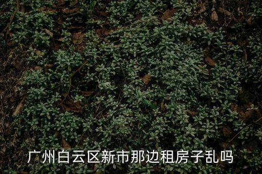 廣州白云區新市那邊租房子亂嗎