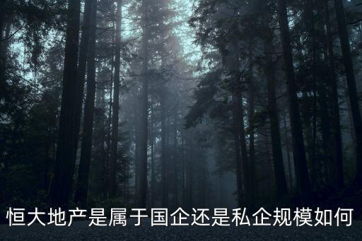 恒大地產(chǎn)是屬于國(guó)企還是私企規(guī)模如何