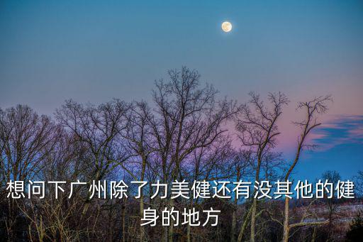 想問(wèn)下廣州除了力美健還有沒(méi)其他的健身的地方