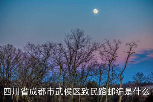 四川省成都市武侯區致民路郵編是什么