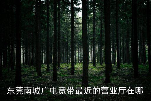 東莞南城廣電寬帶最近的營(yíng)業(yè)廳在哪