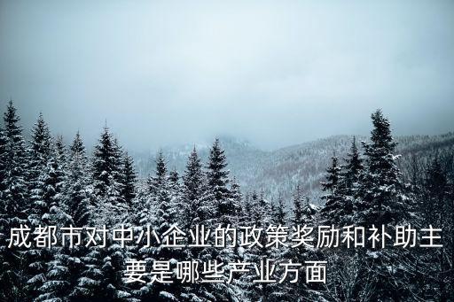 成都市對中小企業的政策獎勵和補助主要是哪些產業方面