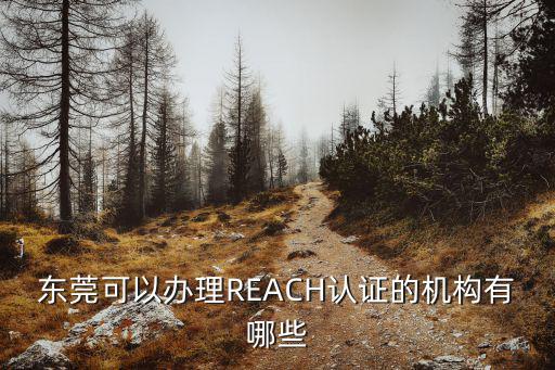 東莞可以辦理REACH認證的機構有哪些